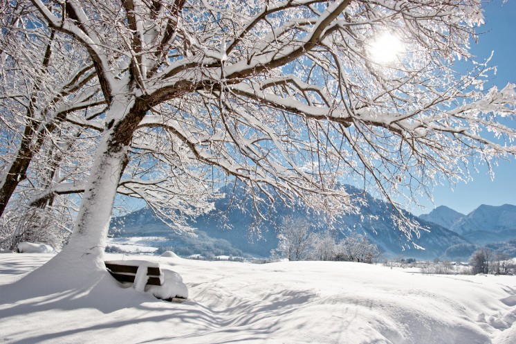 Schöne Winterlandschaft mit verschneiten Bergen im Hintergrund bei einem Winterurlaub in Bayern