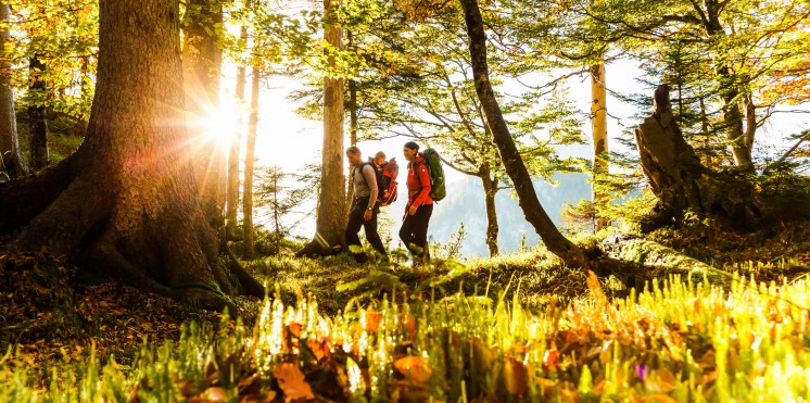 Eine Familien wandert während ihres Sommerurlaubs in Ruhpolding durch den sonnigen Wald