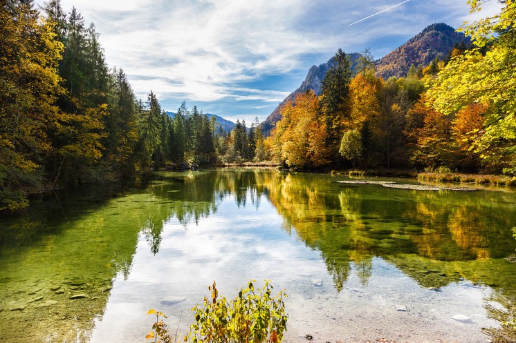 Ausflugsziele im Chiemgau: Ein schöner See umrundet von Bäumen, im Hintergrund die Berge