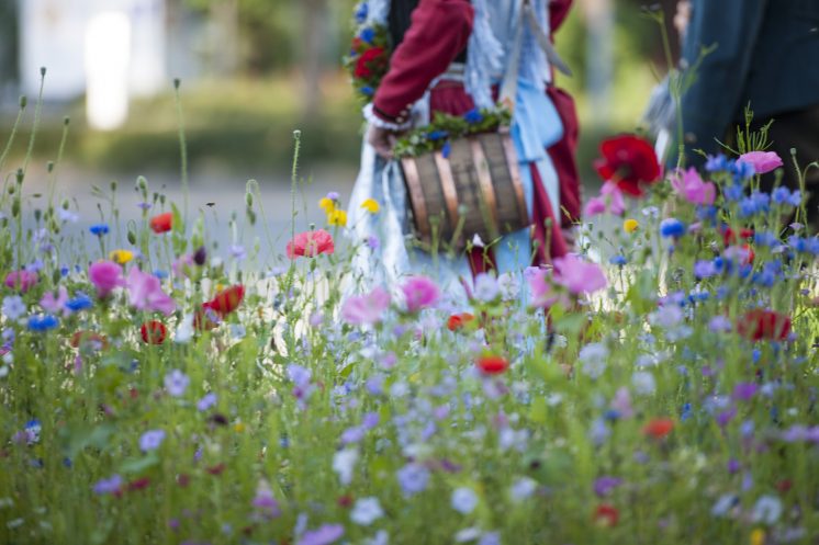 Ein Paar in bayerischer Tracht läuft durch eine schöne Blumenwiese